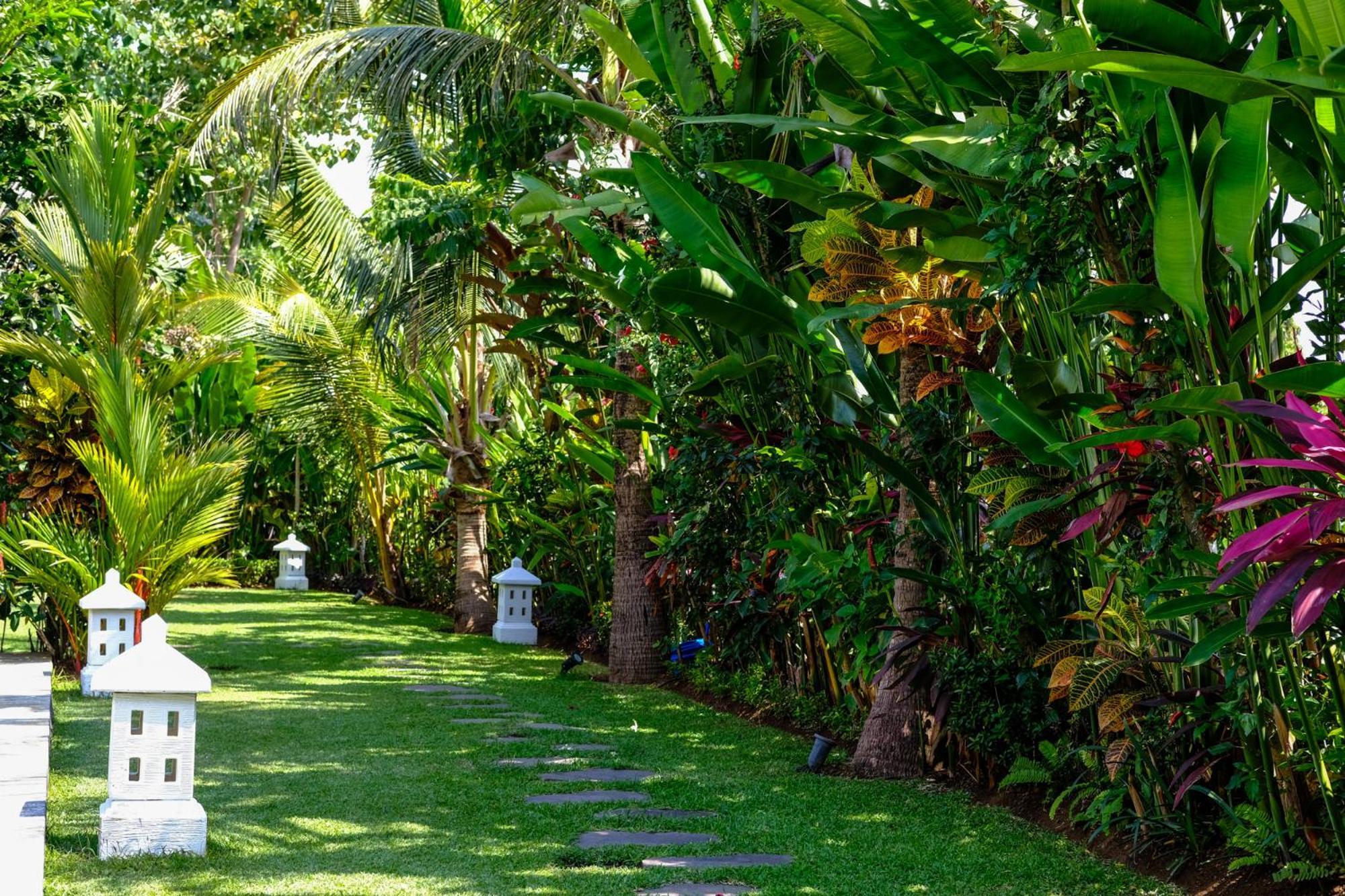 Villa Mata Hari Panji エクステリア 写真