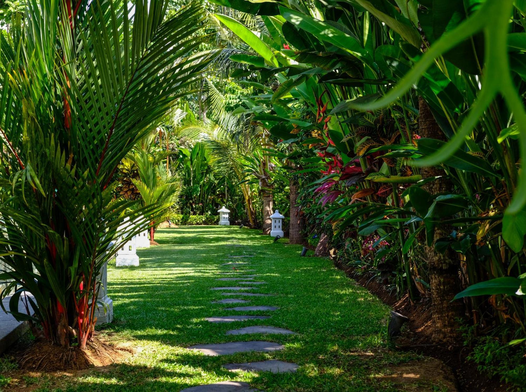 Villa Mata Hari Panji エクステリア 写真